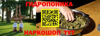 дурь Пенза