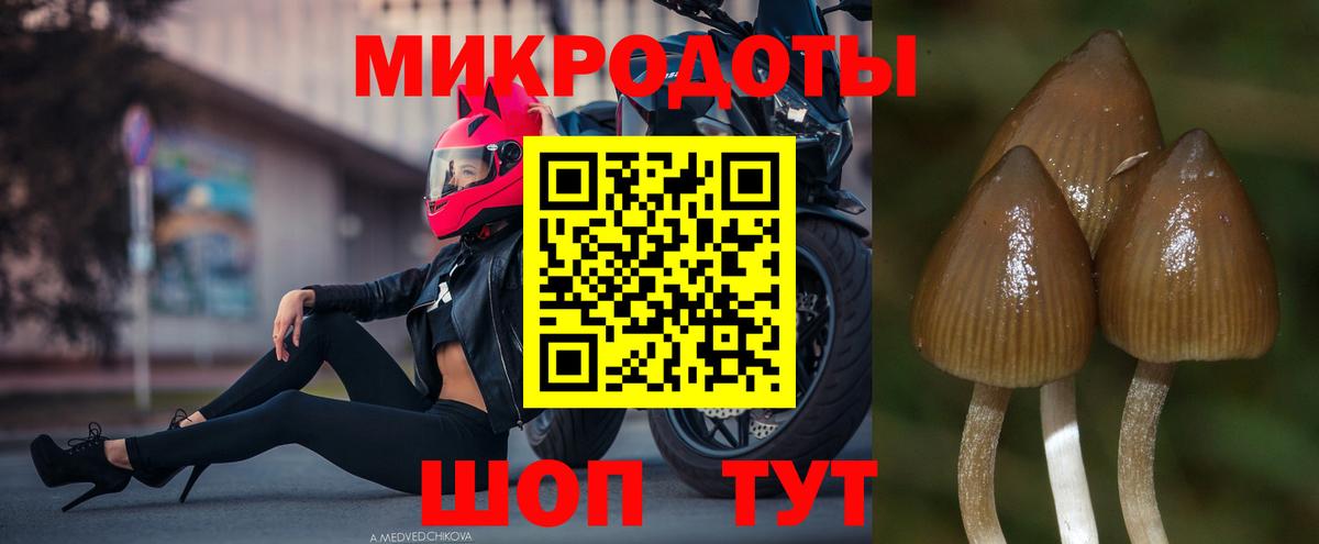 Осинники  цена наркотик  Вход с VPN  Псилоцибиновые грибы GOLDEN TEACHER 